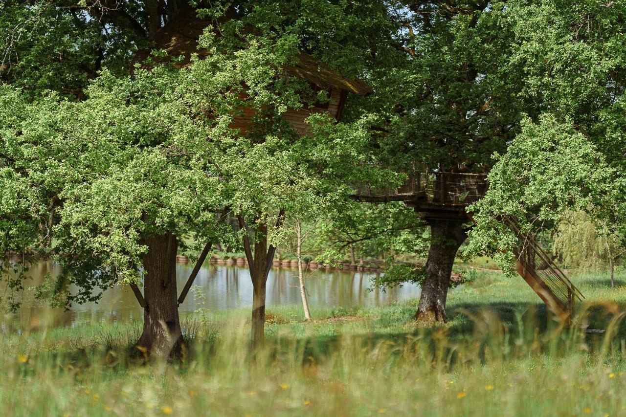 Cabane Perchee Dans Les Arbres Saint-Hilaire-en-Morvan Екстериор снимка