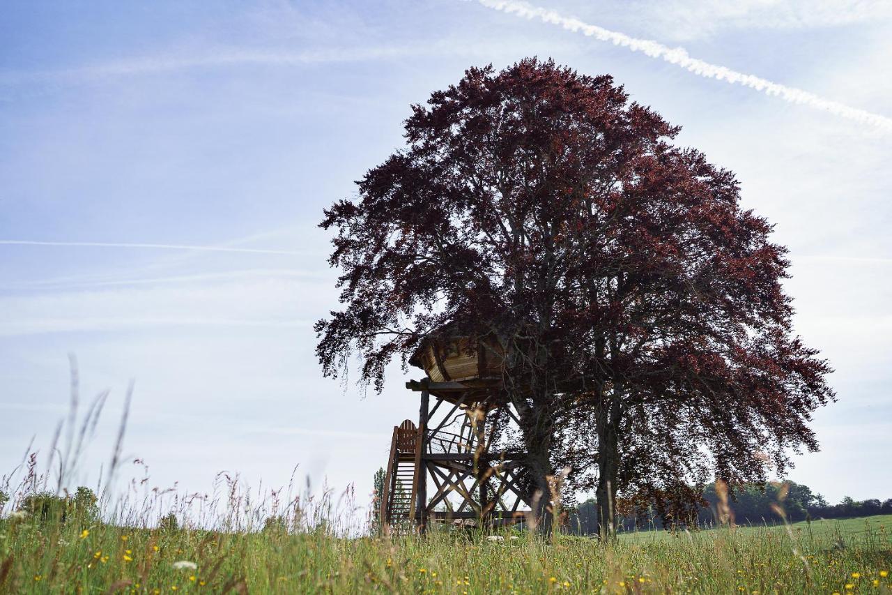 Cabane Perchee Dans Les Arbres Saint-Hilaire-en-Morvan Екстериор снимка