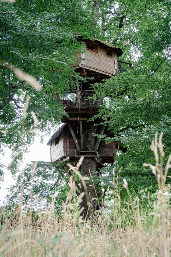 Cabane Perchee Dans Les Arbres Saint-Hilaire-en-Morvan Екстериор снимка