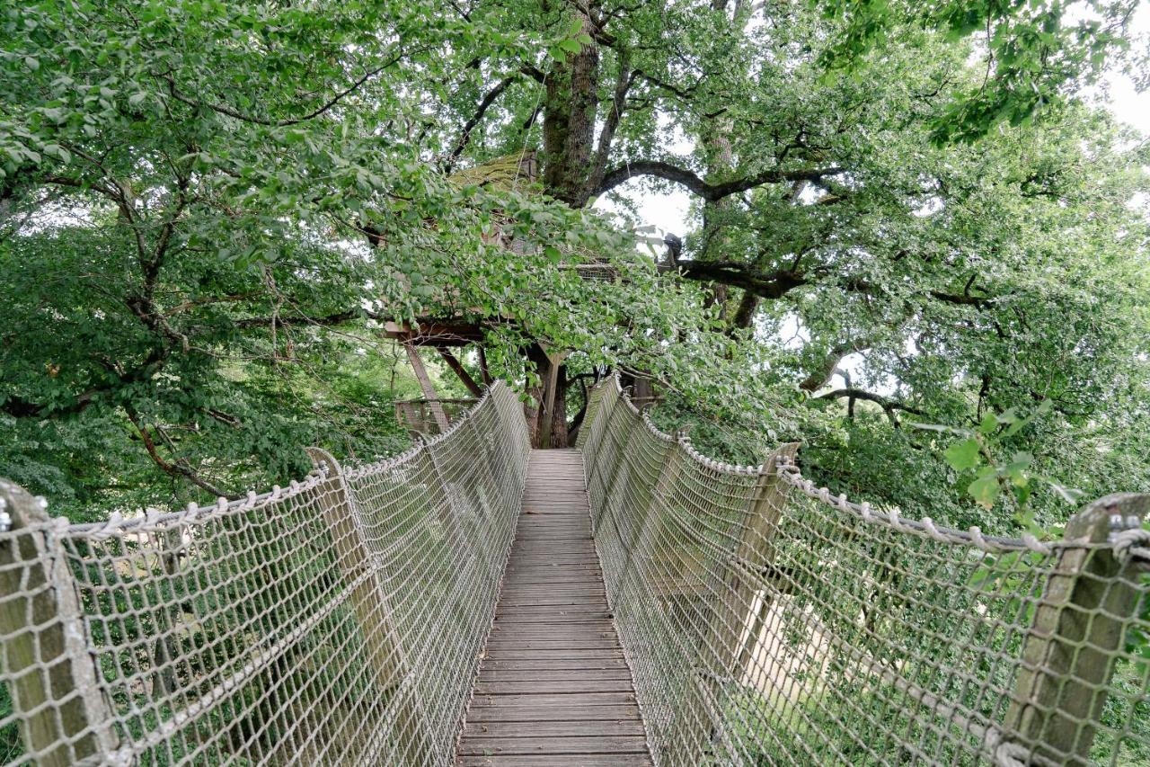 Cabane Perchee Dans Les Arbres Saint-Hilaire-en-Morvan Екстериор снимка