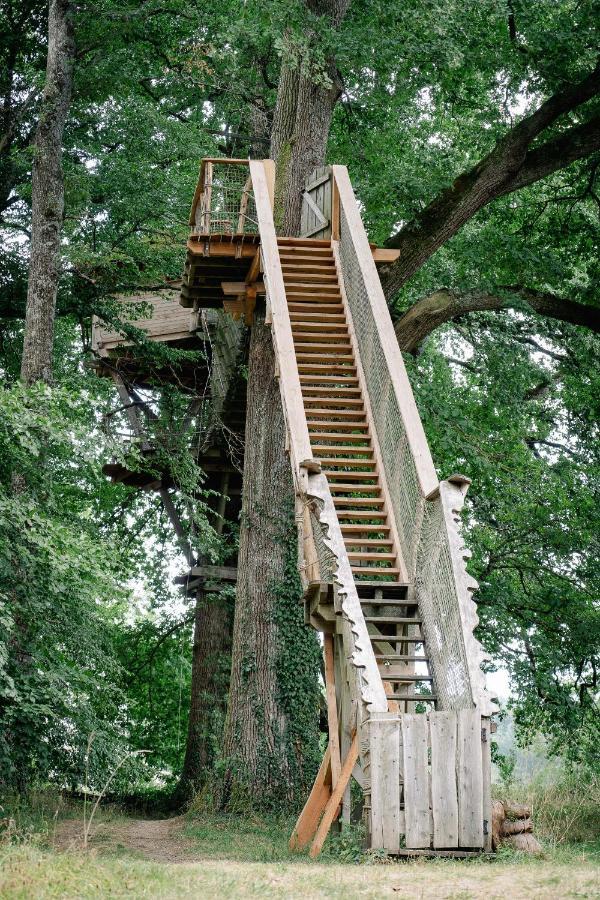 Cabane Perchee Dans Les Arbres Saint-Hilaire-en-Morvan Екстериор снимка