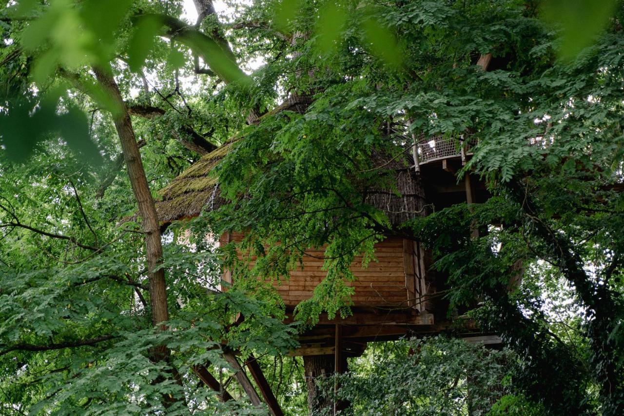 Cabane Perchee Dans Les Arbres Saint-Hilaire-en-Morvan Екстериор снимка