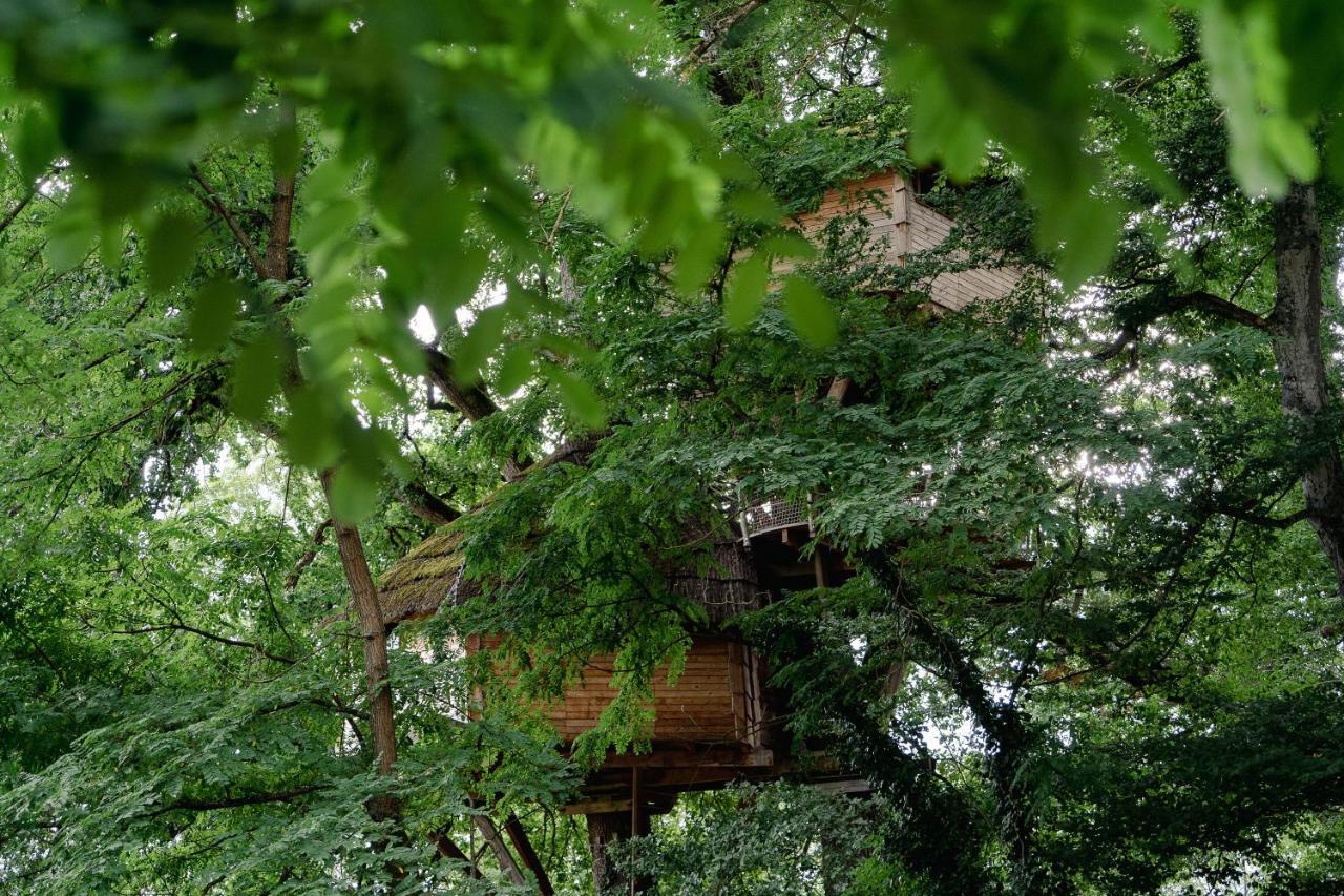 Cabane Perchee Dans Les Arbres Saint-Hilaire-en-Morvan Екстериор снимка
